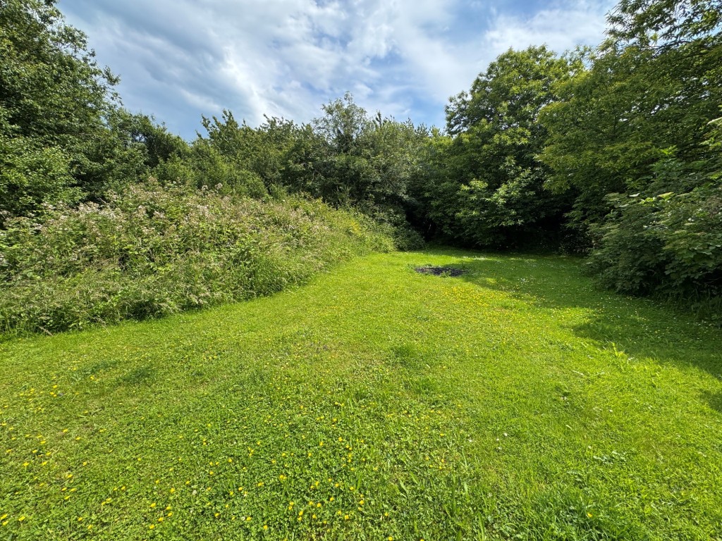 Lot: 147 - DETACHED TWO STOREY DWELLING IN ALMOST ONE ACRE WITH POTENTIAL - Rear garden